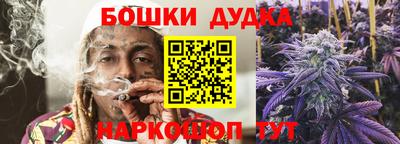 индика Бийск