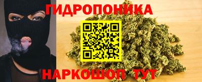 индика Бийск