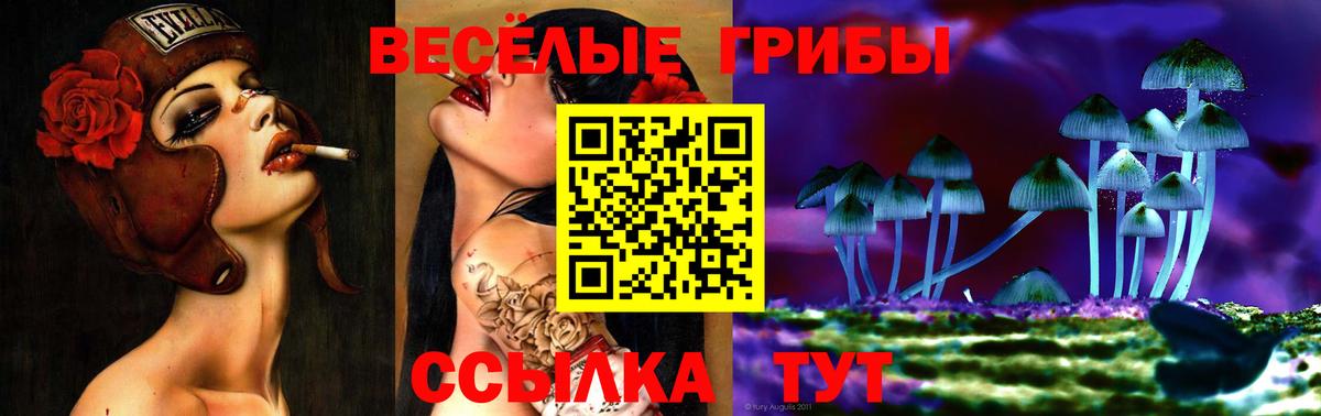 Псилоцибиновые грибы Psilocybine cubensis Бахчисарай